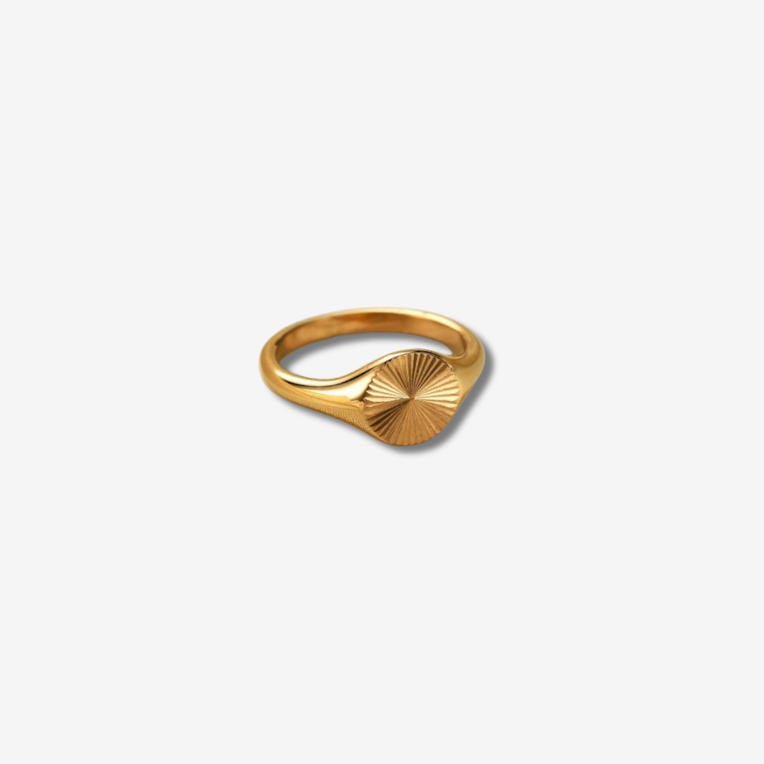 Modern Signet Titanium Ring